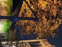 -大可堂普洱茶馆(襄阳南路馆)