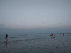 -碧海金沙
