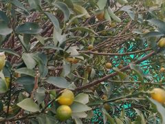 -上海火车站北广场-地下车库