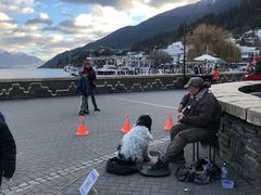 -Patagonia Chocolates(皇后镇店)