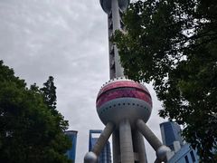 -上海大自然野生昆虫馆