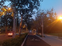 -北坞公园
