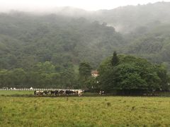 -瑞穗牧场