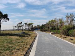 -东堤公园