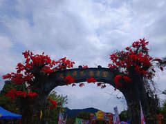 -天适樱花悠乐园