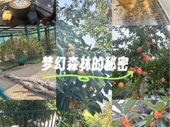 -青岛鑫江温德姆酒店