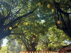 -深圳锦绣中华民俗村