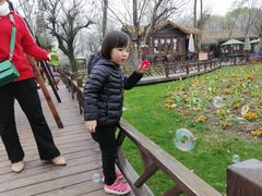 -南通洲际绿博园