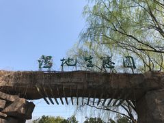 -昆山城市生态森林公园