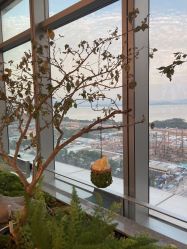 -深圳芙必优医疗美容·抗衰中心