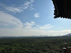 -灵谷景区