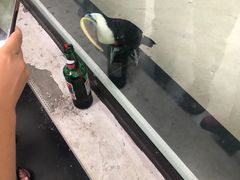-长春农博园