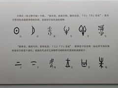 -安阳博物馆