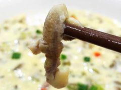 -寻味顺德·南记酒家·传统顺德菜·鱼生(广源路店)