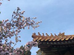 -故宫博物院(故宫)