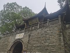 -桂湖森林公园