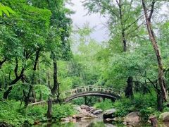 -玉渡山自然风景区
