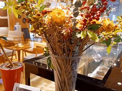 -藏猫猫咖啡主题馆(中央大道店)