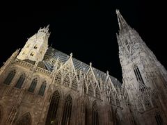 -斯蒂芬主教座堂(Stephansdom)