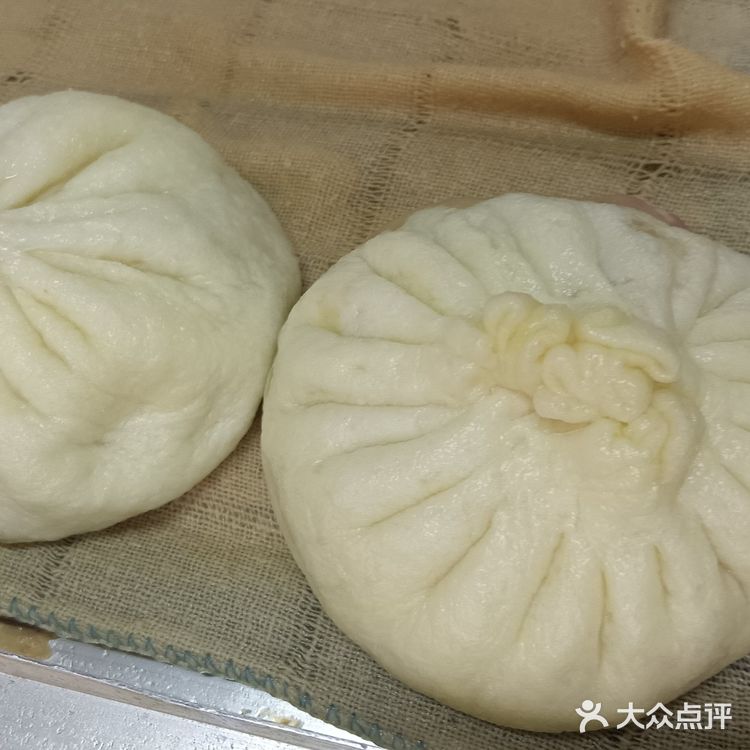 来天津，二姑包子你吃了吗？