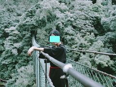 吊桥-云南屏边大围山国家公园