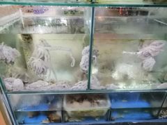 -东海章鱼馆(恒瑞街店)