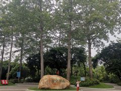 -南宁南湖公园