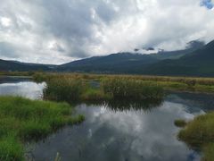 -腾冲北海湿地