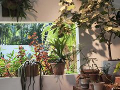 -自由生长植物工作室(深港花卉中心店)