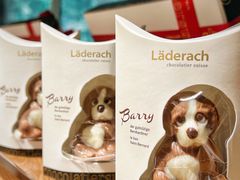 -Laderach 莱德拉(上海环贸iapm店)