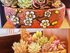 -财神鸡煲(华强北店)