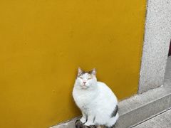 -西园戒幢律寺