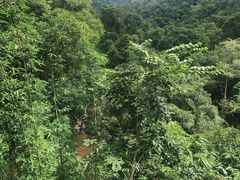 -野象谷景区