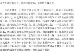 -幸福饭店(佛山路东段店)