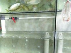 水产区-文仔海鲜馆