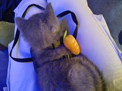 -解个谜沉浸剧情密室(天河店)