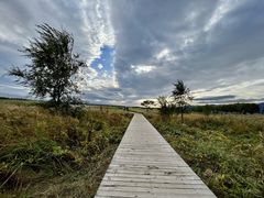 -野鸭湖国家湿地公园
