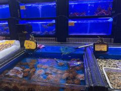 -万宝海鲜舫(劳动公园店)