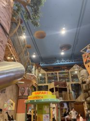 点击看大图 -卡通尼·Safari非洲探索乐园·生日会(金桥国际商业广场店)