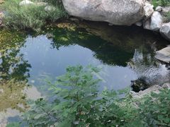 -沂蒙山旅游区云蒙景区(蒙山国家森林公园)