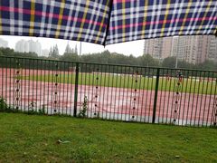 -八万人体育馆-外场足球场