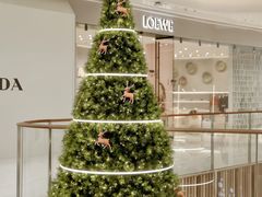 -深圳湾万象城(南山店)