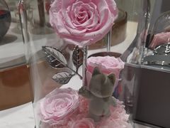 -ROSEONLY诺誓(磐基中心店)