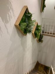 点击看大图 -薇薇安花系SPA