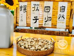 -北科婴幼学苑