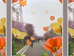 -广东花都湖国家湿地公园