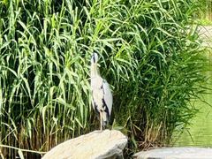 -太阳宫公园