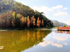 -广州市石门国家森林公园