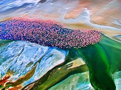 -罗红摄影艺术馆