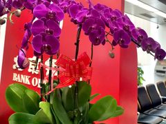 -北京银行(中轴路支行)